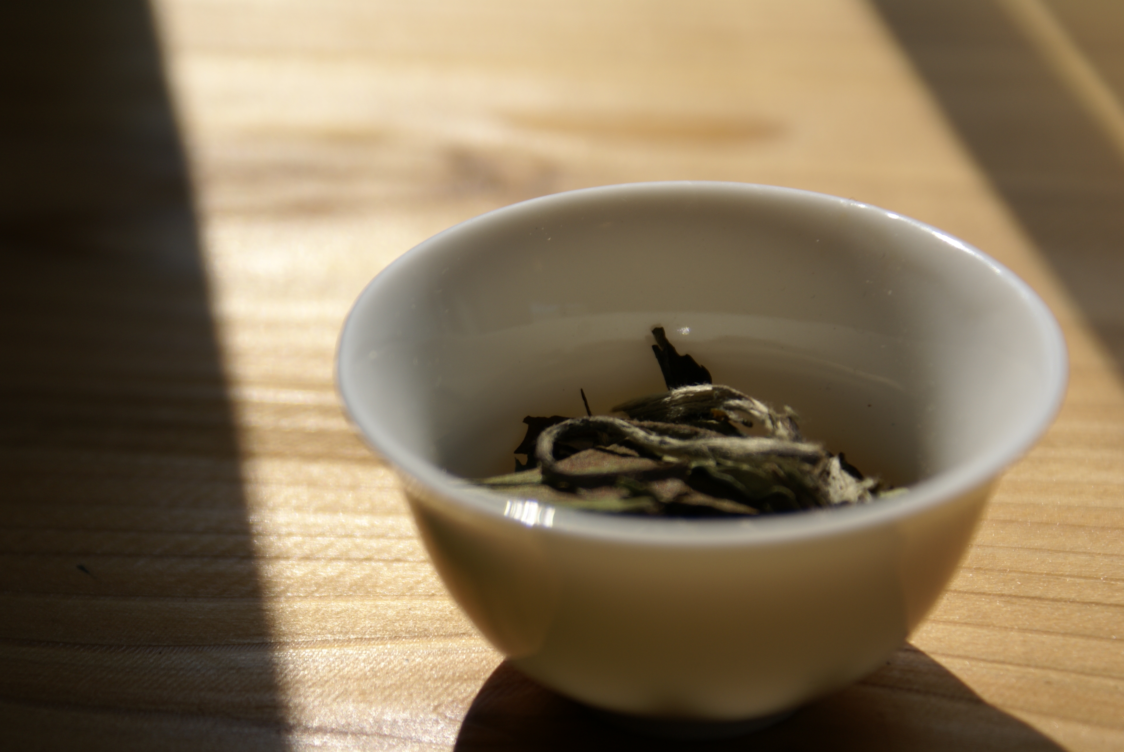 事務所内イメージ